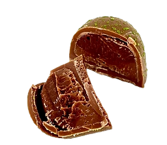 Ginger Ban_edited_edited.png